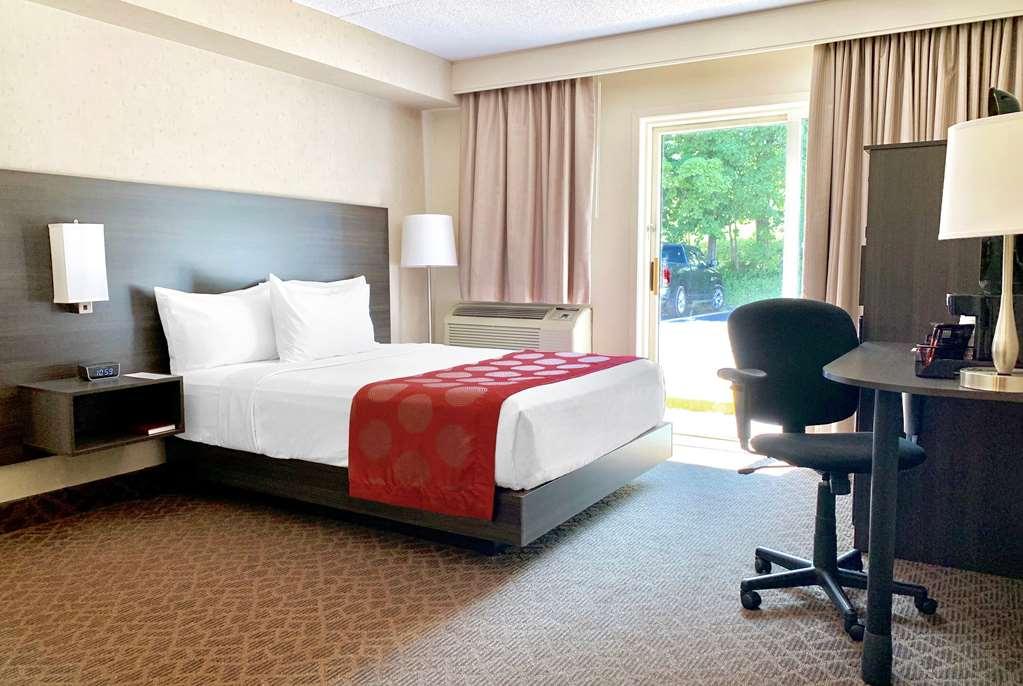 Quality Inn & Conference Centre Kingston Central Zimmer foto